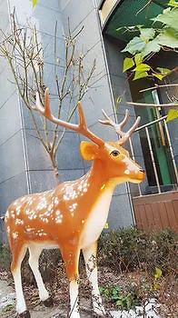 Alice Hostel Seoul